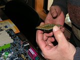 別ウィンドウで開きます